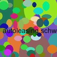 autoleasing schweiz reise